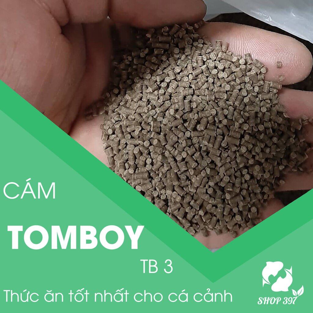 Cám Tomboy 3 (1000gam)