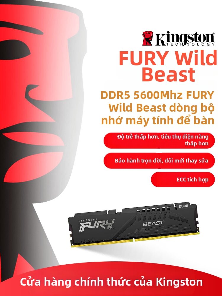 Kingston | High-frequency DDR5 Gaming Memory Heat Sink Desktop Giá 10,100,000 Đồng*Miễn phí vận chuyển