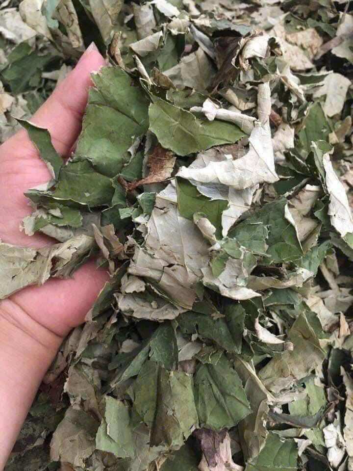 Lotus Leaf Tea Lam Phong Filter Bags (30 Filter Bags)