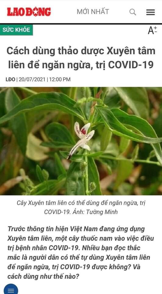 Xuyên tâm liên hàng chuẩn 1kg