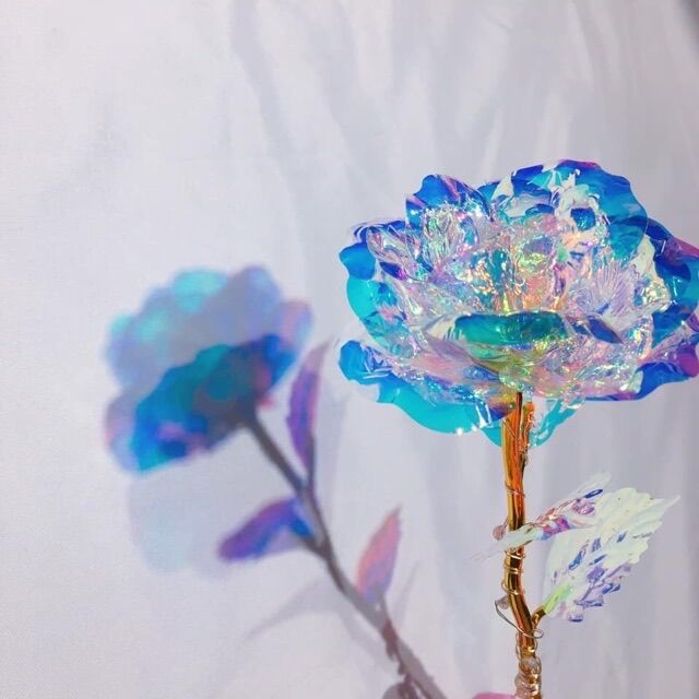 Hoa hồng hologram