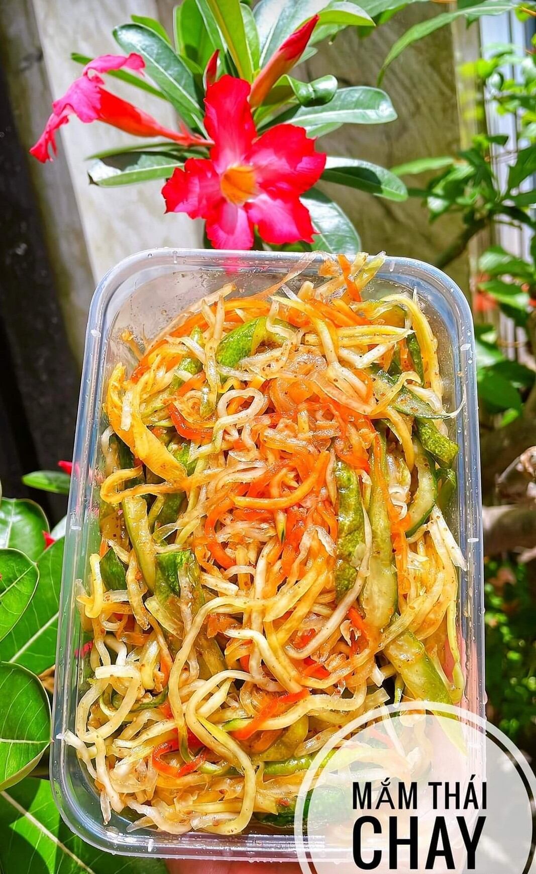 Mắm thái chay Châu Đốc (500gr)