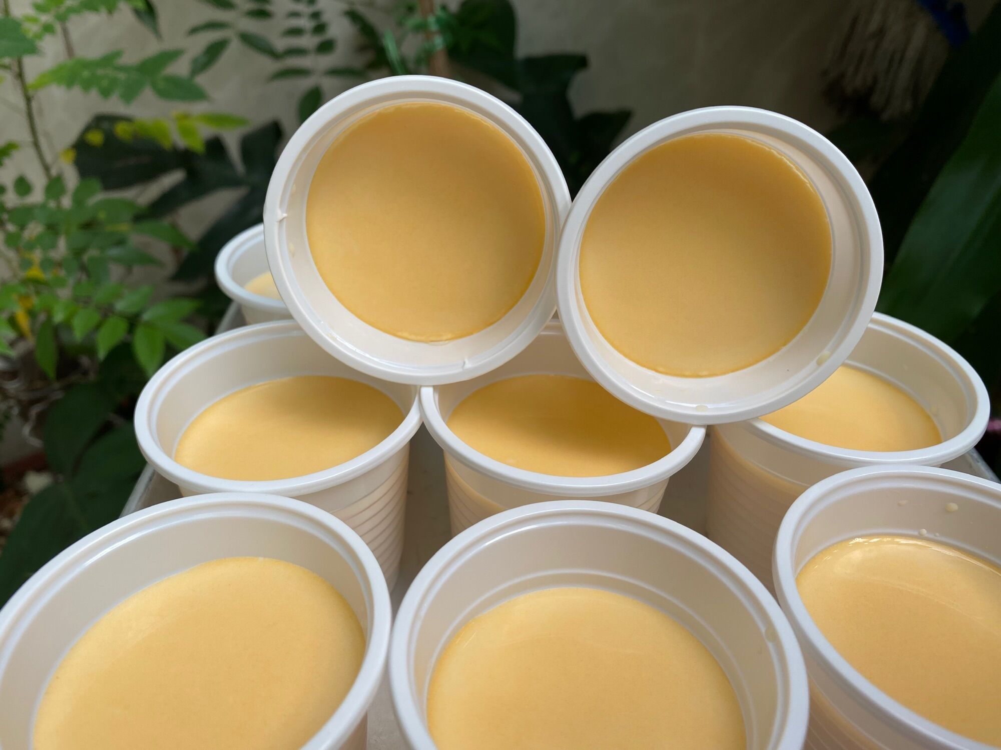 Set Yaourt Phô Mai Đà Lạt chỉ 100k/10 hũ