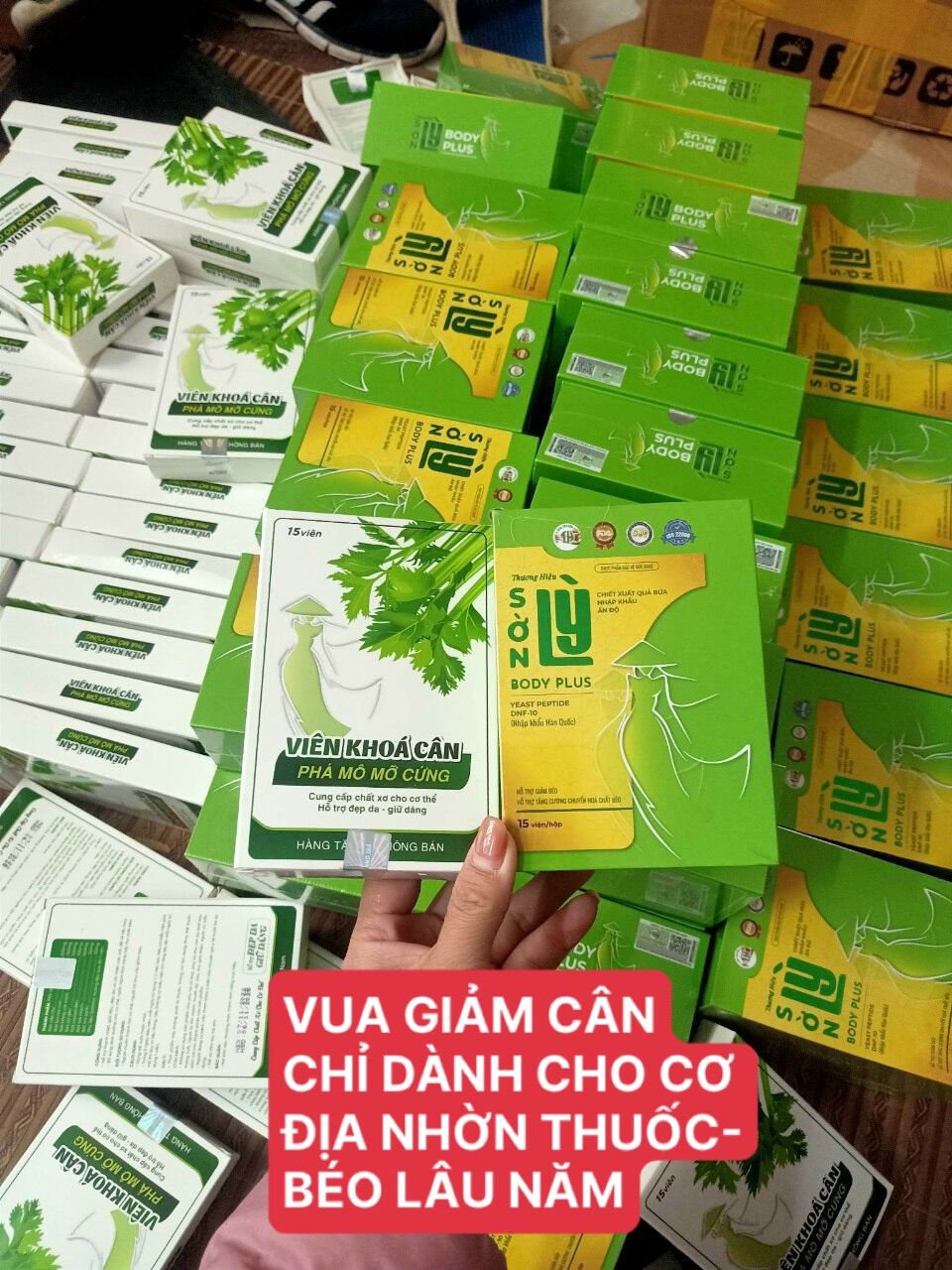 Sờn lỳ Tiến Hạnh