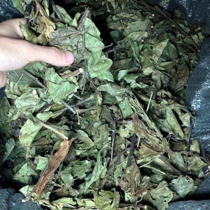 [ GIÁ BÁN BUÔN ] Xạ Đen Hòa Bình 1 Kg, mát gan, giải độc gan