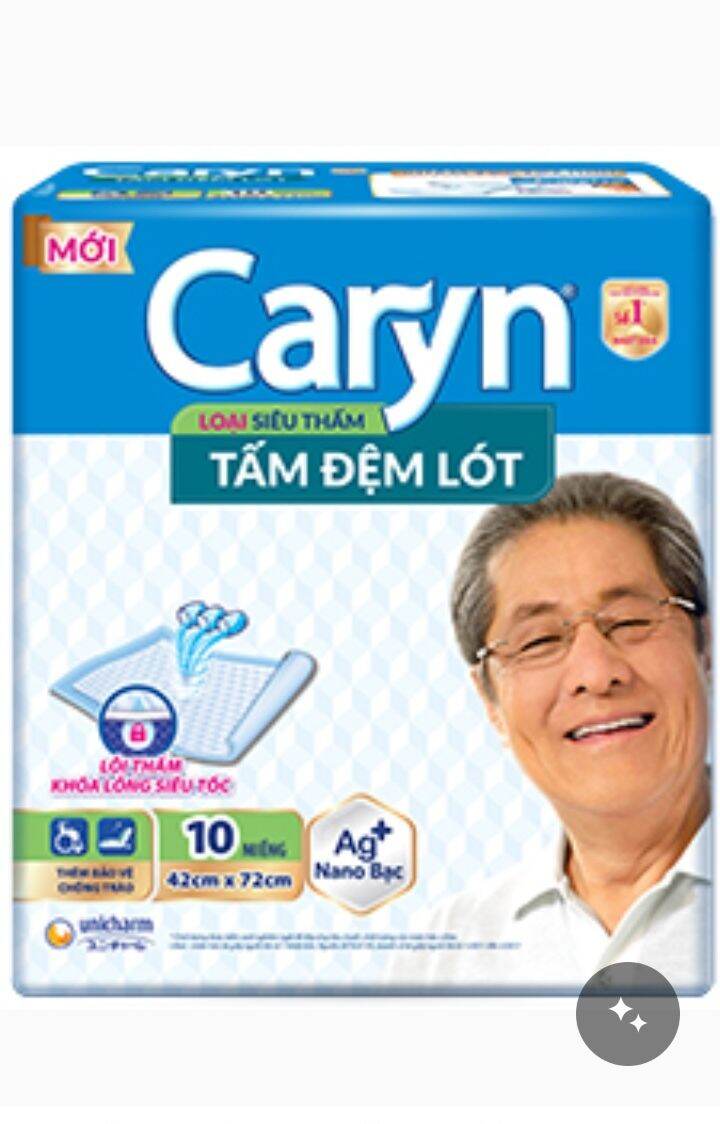 Tấm đệm lót Caryn người lớn L10 miếng. (42×72cm)