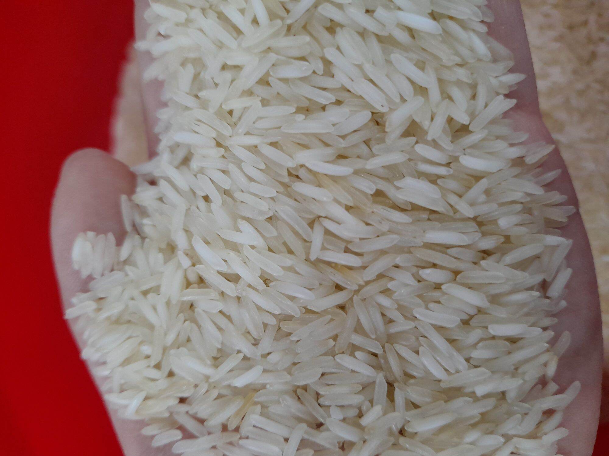 Gạo Basmati - Gạo nhập khẩu từ Ấn Độ 1kg