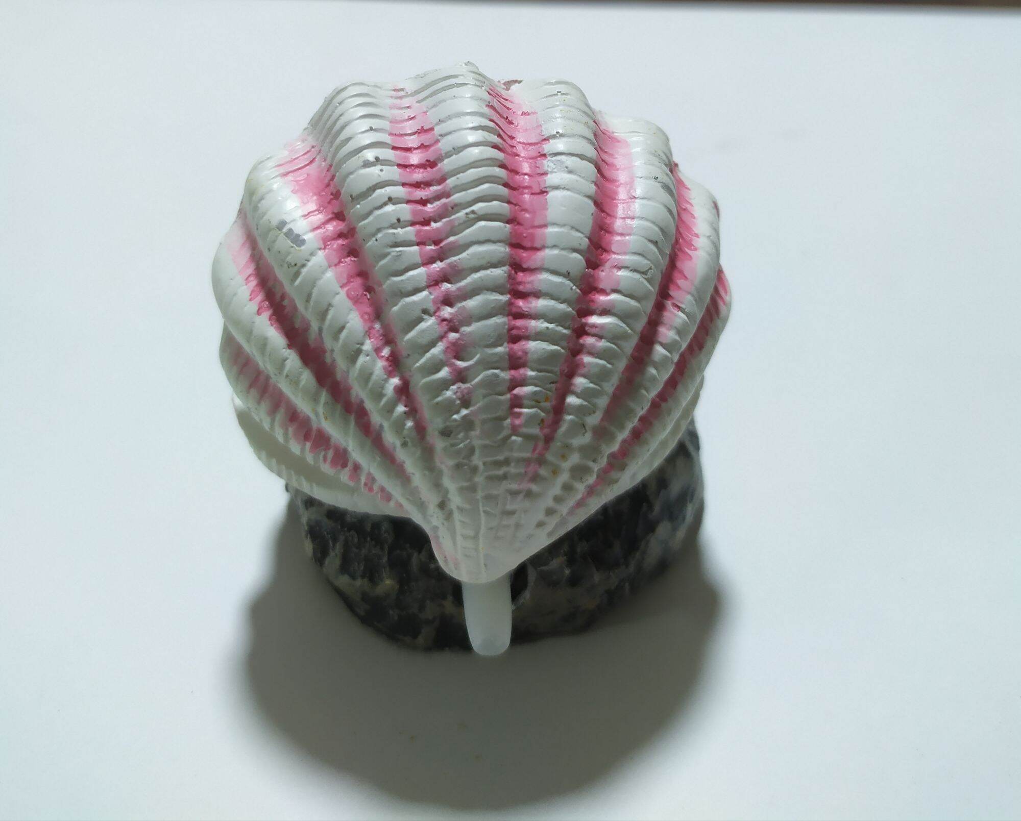 Sò sủi oxy Trang Trí Hồ Cá, Bể Cá.