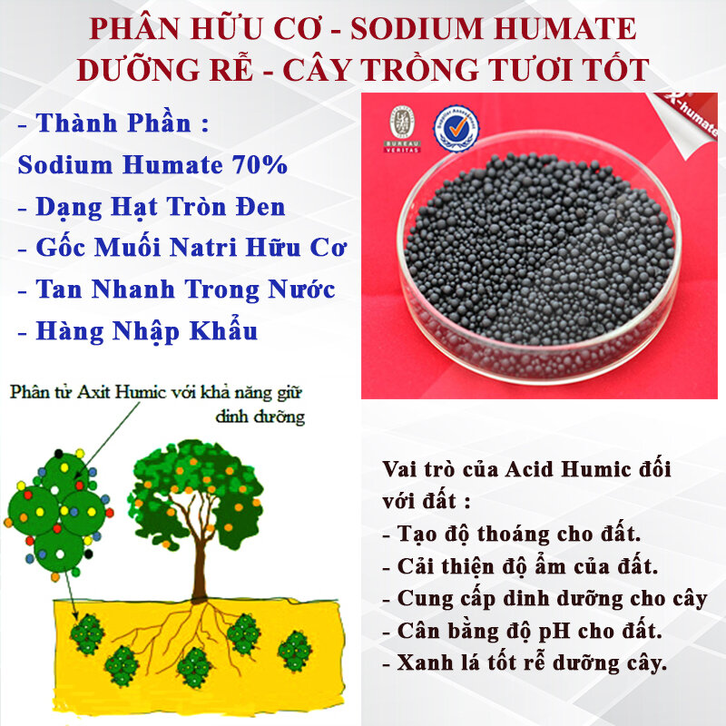 1kg - Phân bón hữu cơ Acid Humic dạng hạt dưỡng rễ tốt cây xanh lá , cải tạo đất cây trồng # Acid humic hạt 1kg
