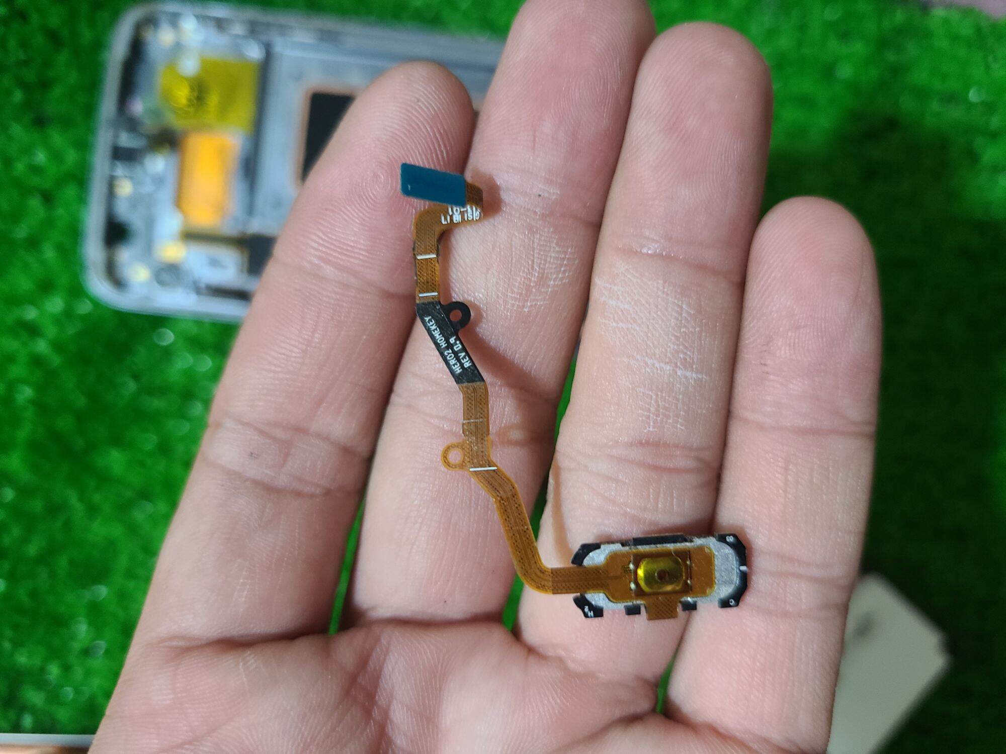 Nút vân tay samsung S7 edge