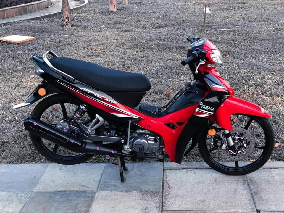 tem rời sirius đen phối đỏ