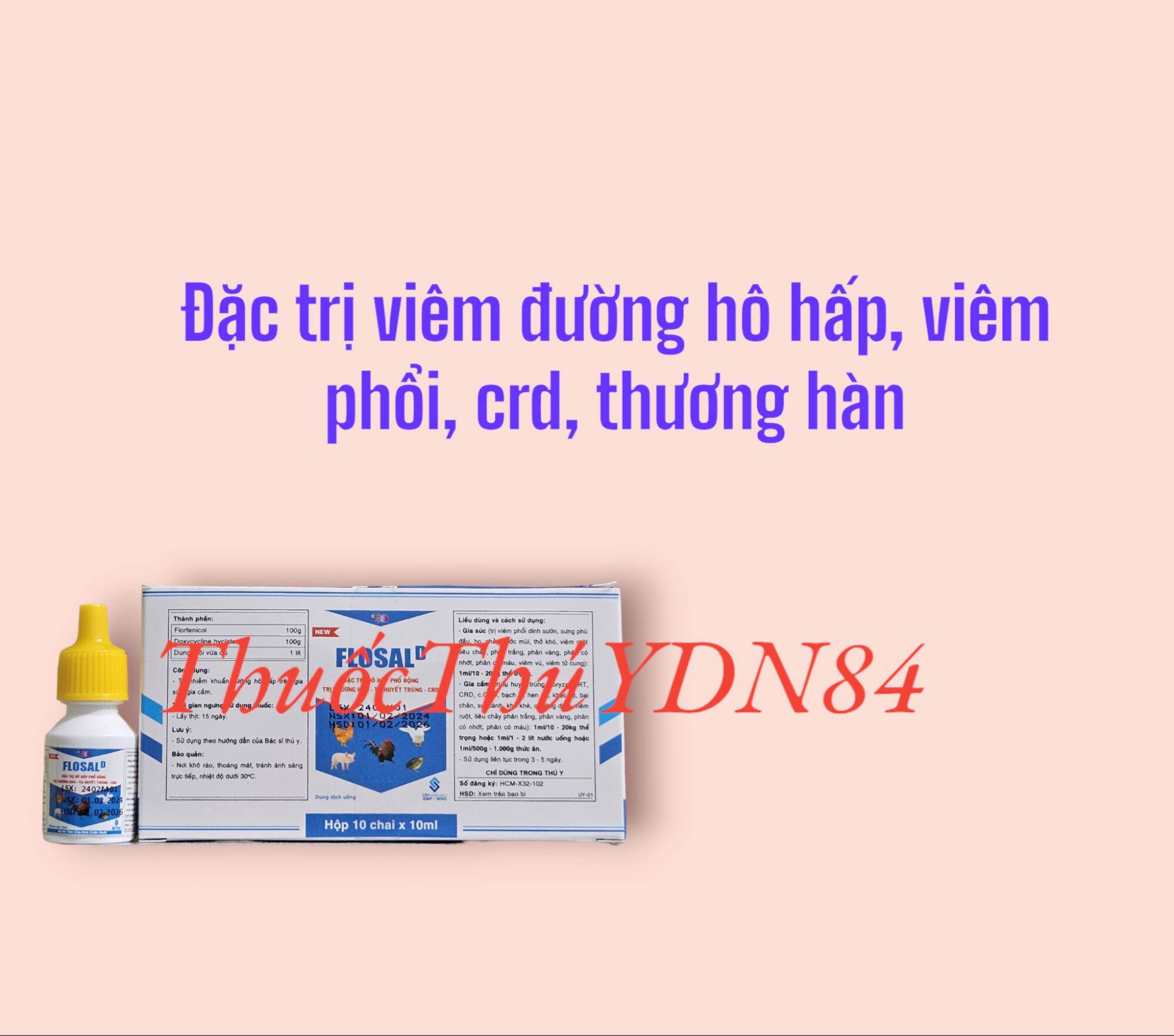 Hộp 10 lọ FLOSAL D 10ML khò khè hen khẹc sổ mũi thương hàn tụ huyết trùng