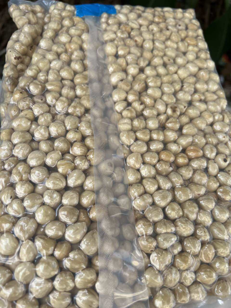 500Gr Nhân hạt phỉ Hazelnuts nhập khẩu Mỹ