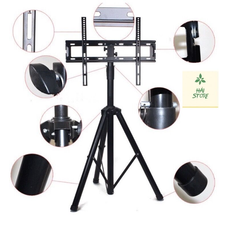 Giá treo tivi di động