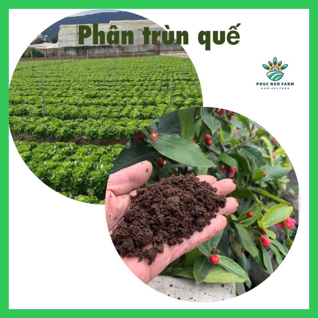 Phân trùn quế gói 1kg ,dinh dưỡng hữu cơ cho cây trồng