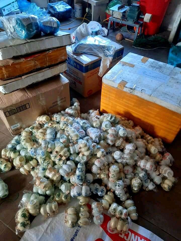 Cóng sứ chào mào