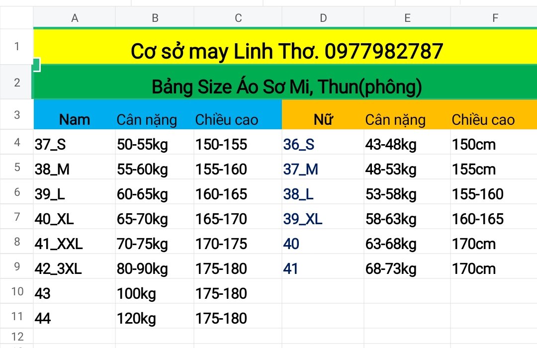 Áo Thun Công Đoàn Logo Thêu Chất liệu Poly thái 4 chiều