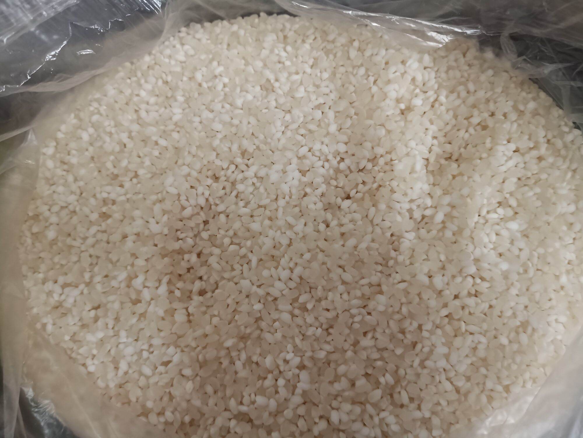 Nếp nương Lào hạt tròn ( nếp Kay Nọi)