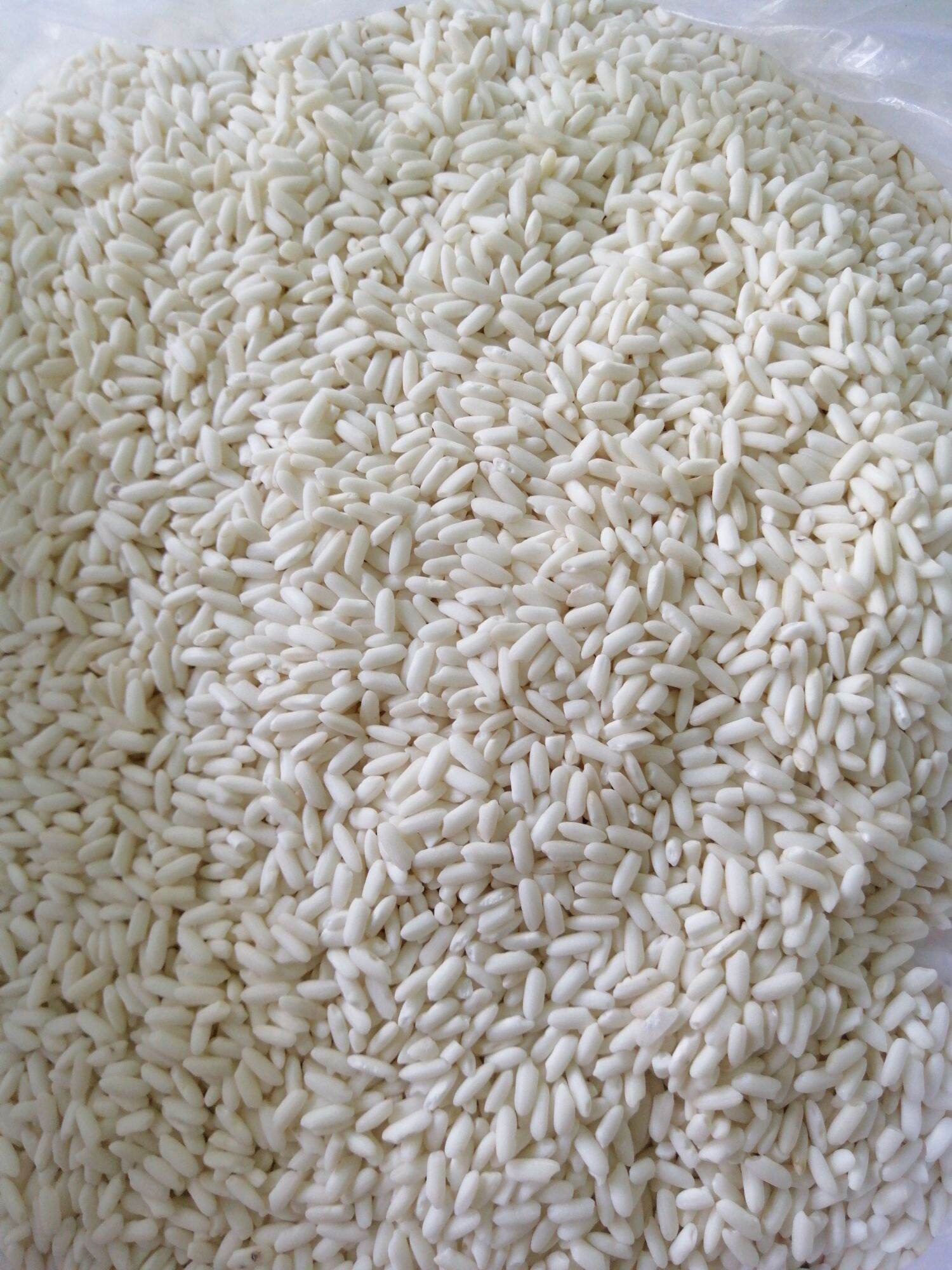1 Kg ​  Nếp Lào