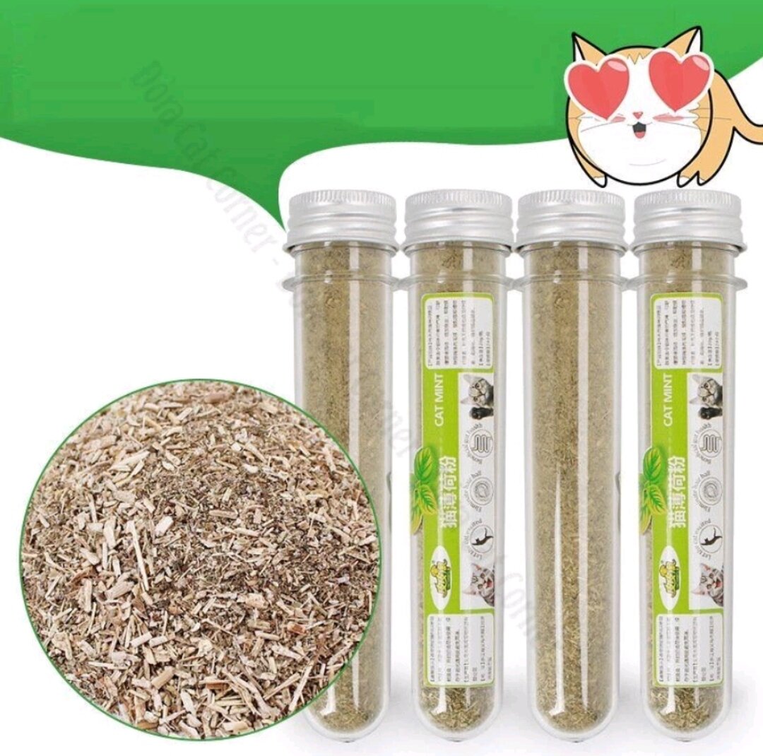 Ống cỏ bạc hà Cat Mint cho mèo