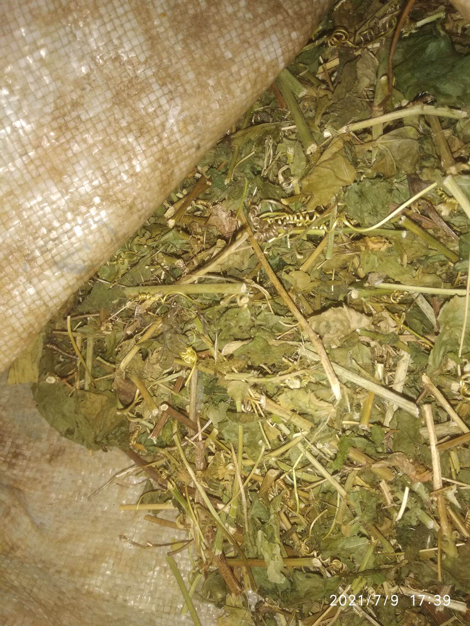 Lạc Tiên khô (1kg) dried passion fruit
