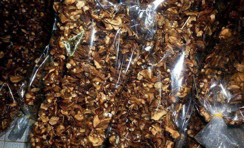 Nấm Hương rừng Đặc Sản Bắc Kạn loại 0.5kg, nấm thơm tự nhiên, đã sấy khô, sạch sẽ, khi ăn ngâm qua nước ấm dùng làm gia vị các món ăn như ninh xương, hầm măng miến, xào các loại thịt lợn, nai...vv rất thơm ngon