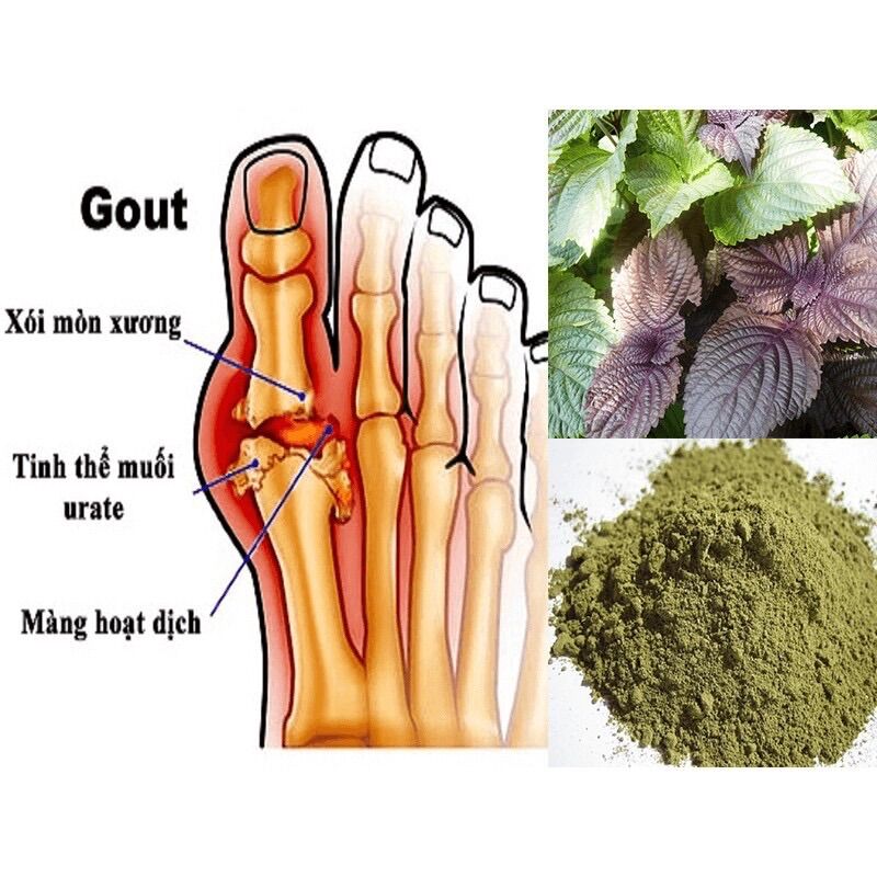 Bột tía tô sấy lạnh hộp 250g