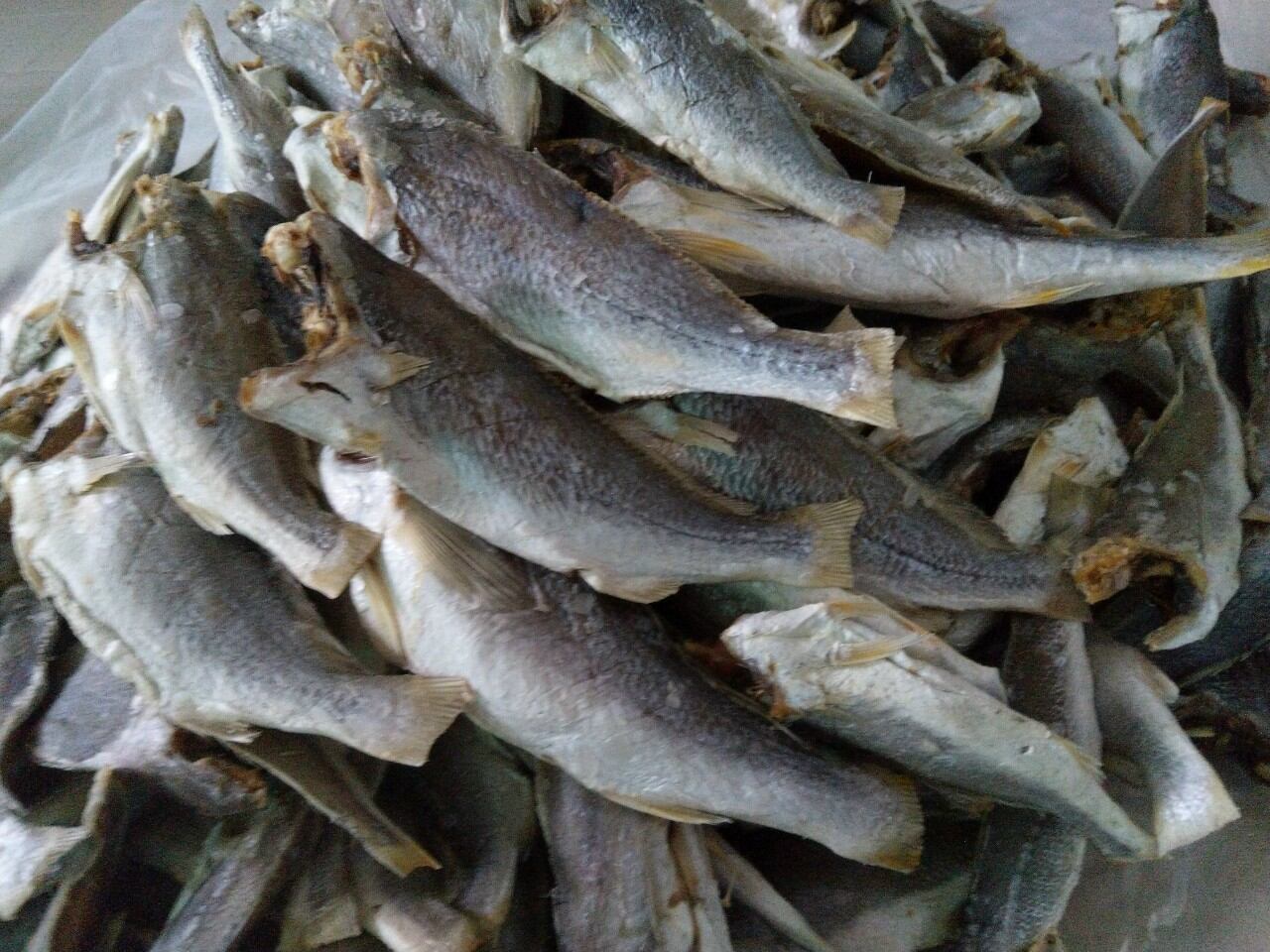 Khô cá lù đù mặn, ăn bắt cơm (Chiên, Chưng thịt..)