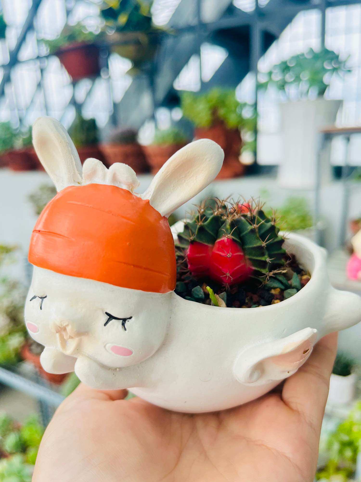 Chậu trồng cây hình thú dễ thương, trồng sen đá, cây mini.. trang trí bàn làm việc
