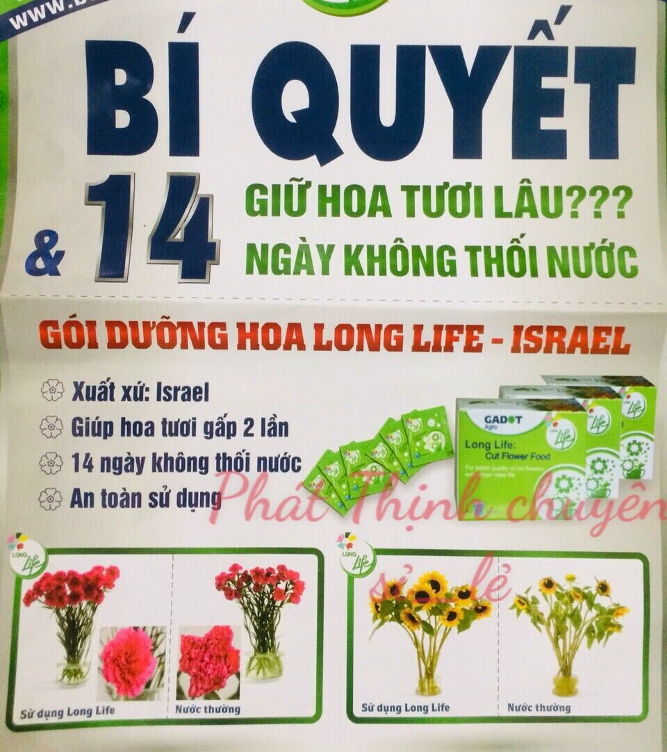 10 Gói Chế phẩm sinh học BỘT CẮM HOA lâu tàn giúp hoa tươi lâu gấp 2 lần và 14 ngày không thối nước (không thay nước mới) an toàn cho người sử dụng cắm bình hoa tại nhà