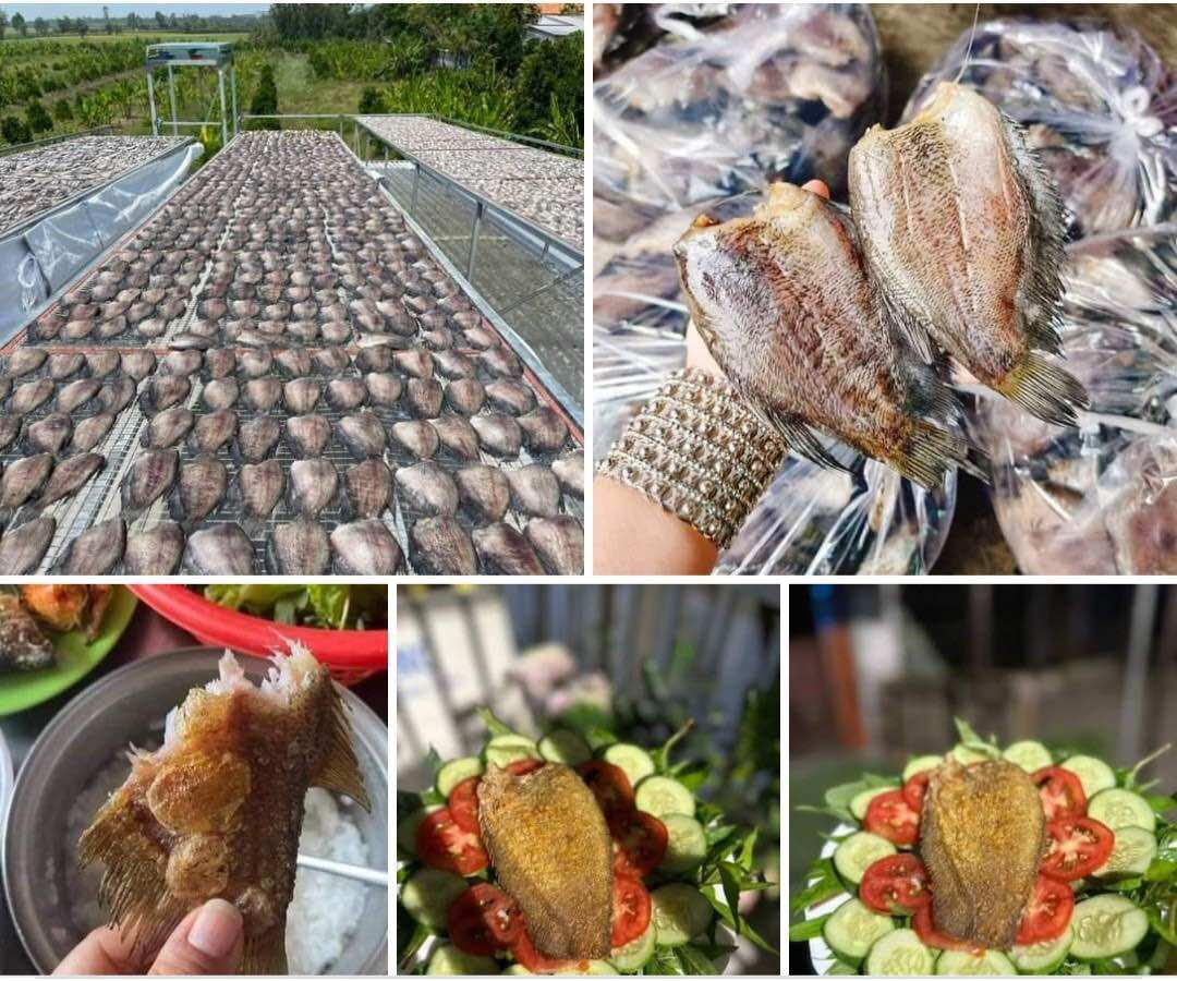 KHÔ SẶC BỔI LẠT 2 NẮNG CÀ MAU (1kg) (10-12 CON) XÁC NHẬN CHAT CHẮC CHẮN MUA HÃY ĐẶT Ạ - nhận hàng bảo quản ngăn đá nhé ạ