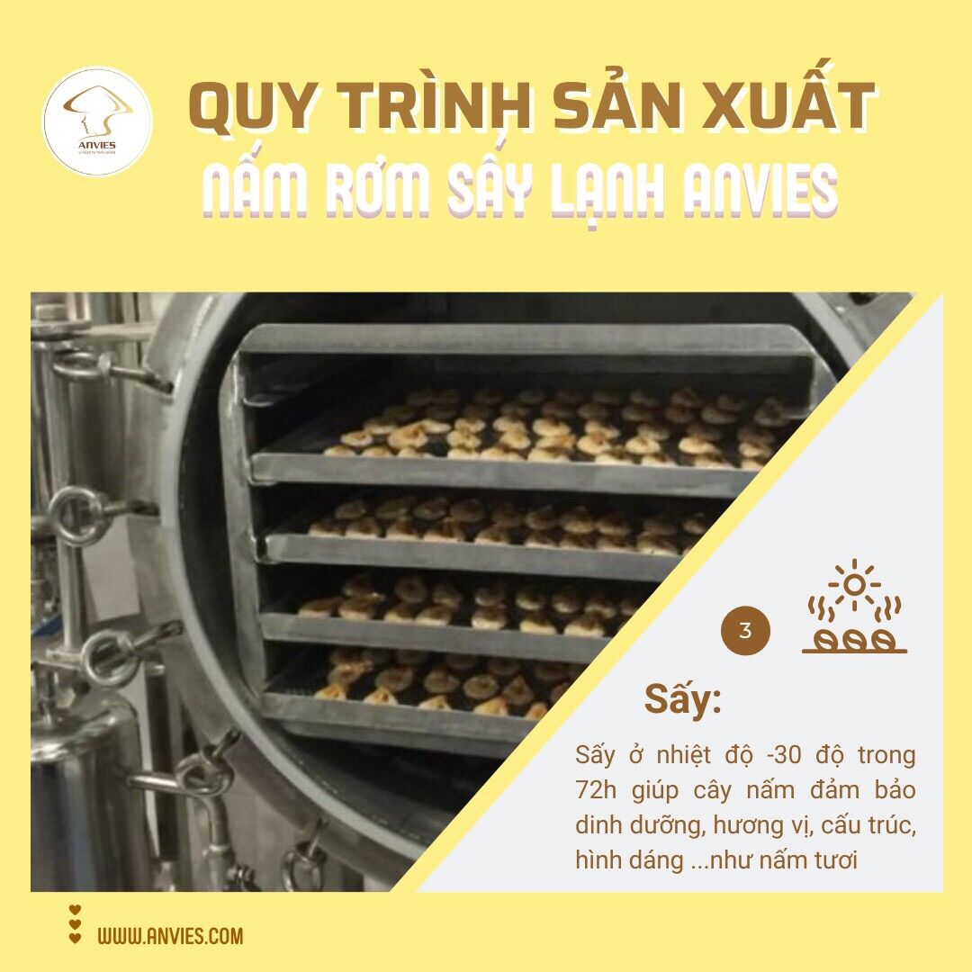 NẤM RƠM SẤY LẠNH CAO CẤP ANVIES
