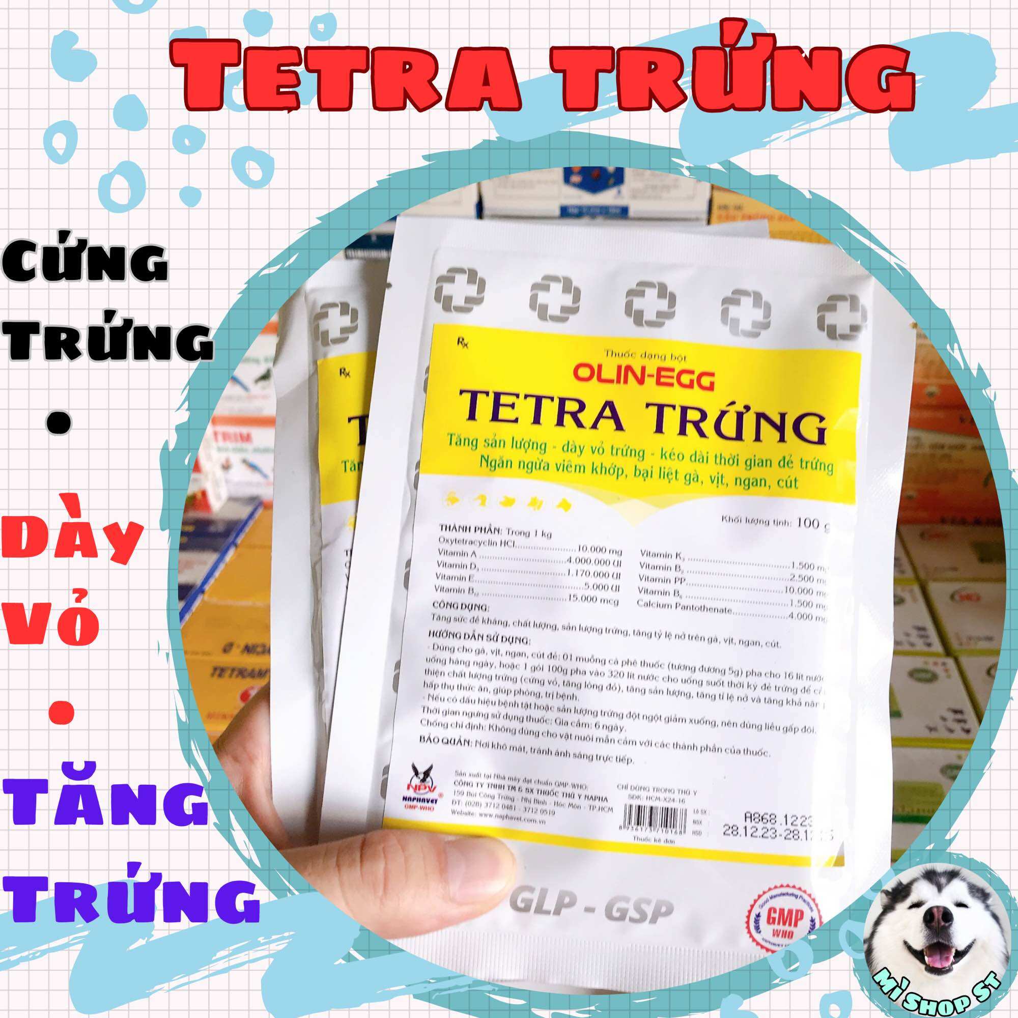 Tetra trứng, cứng vỏ trứng gà, vịt, cút, chim cảnh