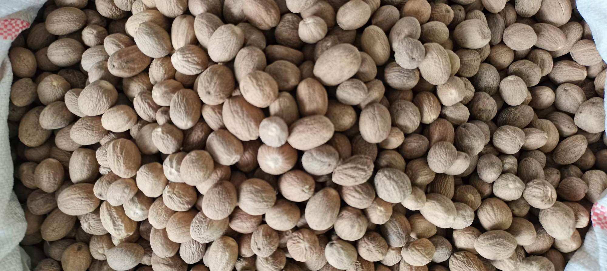 500g nhục đậu khấu