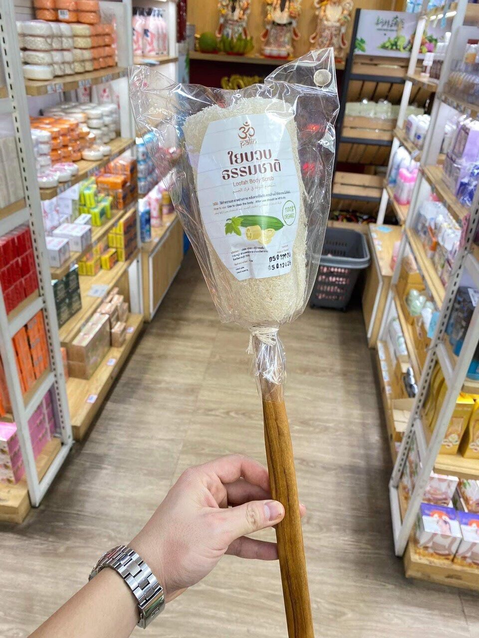 Cây sơ mướp chà lưng thái lan