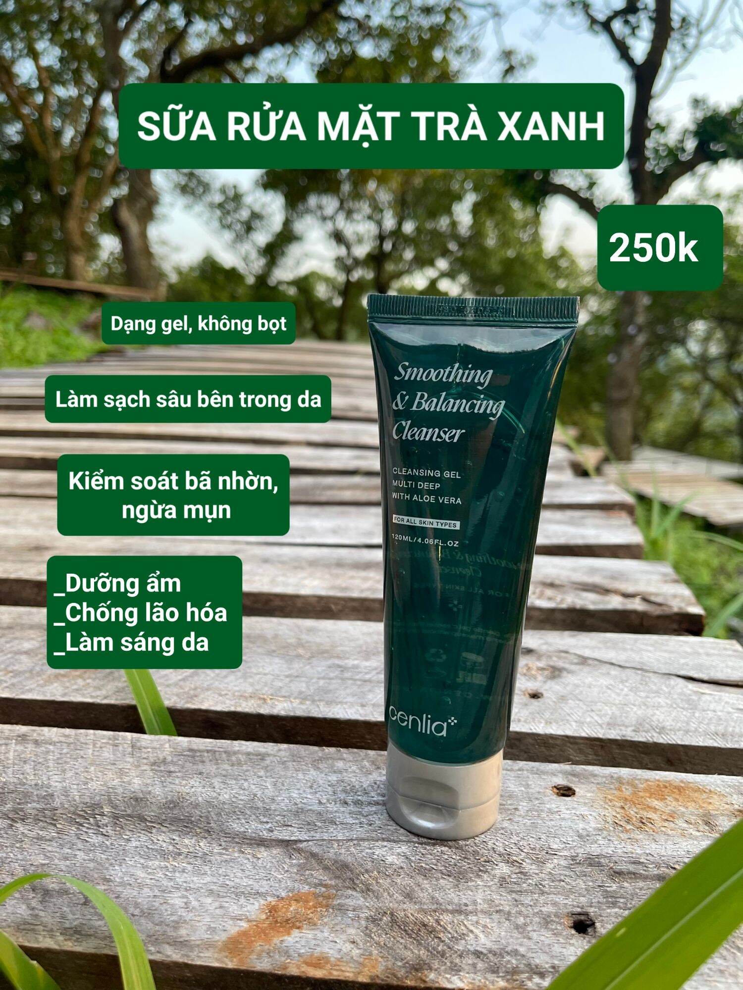 SỮA RỬA MẶT TRÀ XANH_CỐT NHA ĐAM CENLIA+ ( BẢN MỚI)