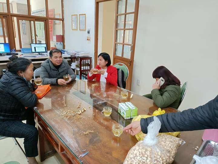Trà Diếp Cá Lụa Vy