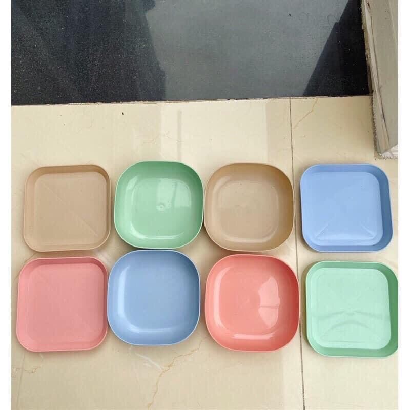 Set 8 đĩa lúa mạch màu pastel siêu xinh