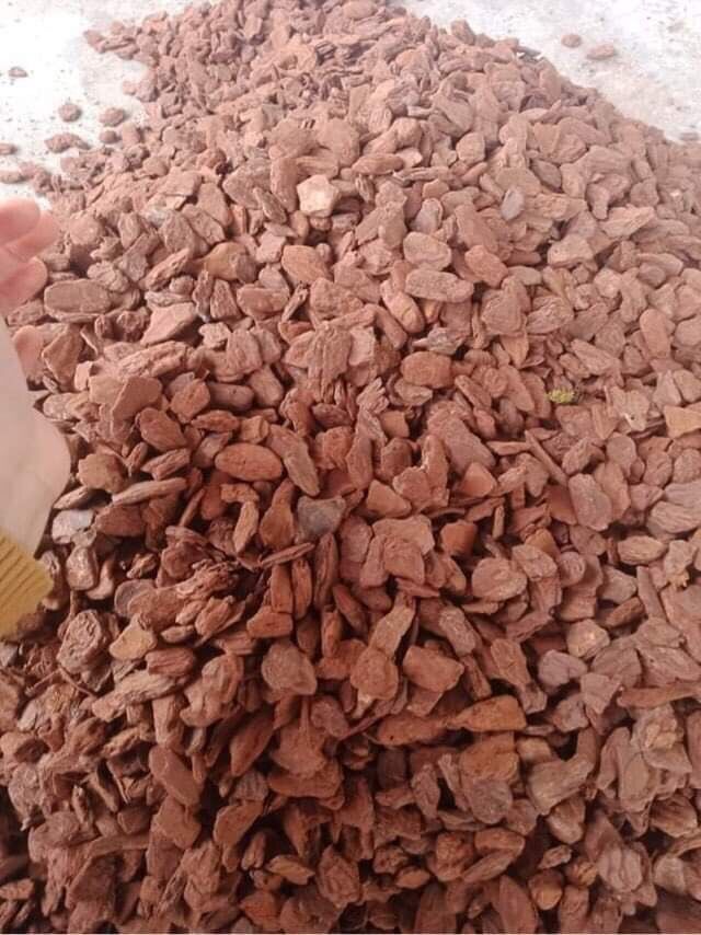 Combo 5kg vỏ thông size 1-2