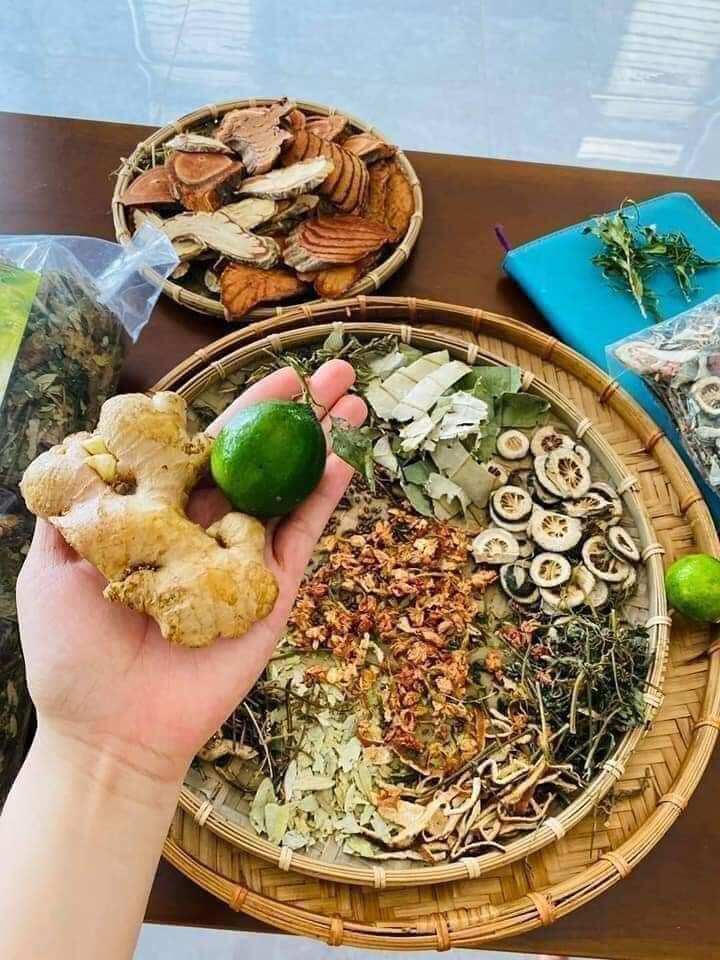 Trà lá nam giảm cân an toàn, hiệu quả