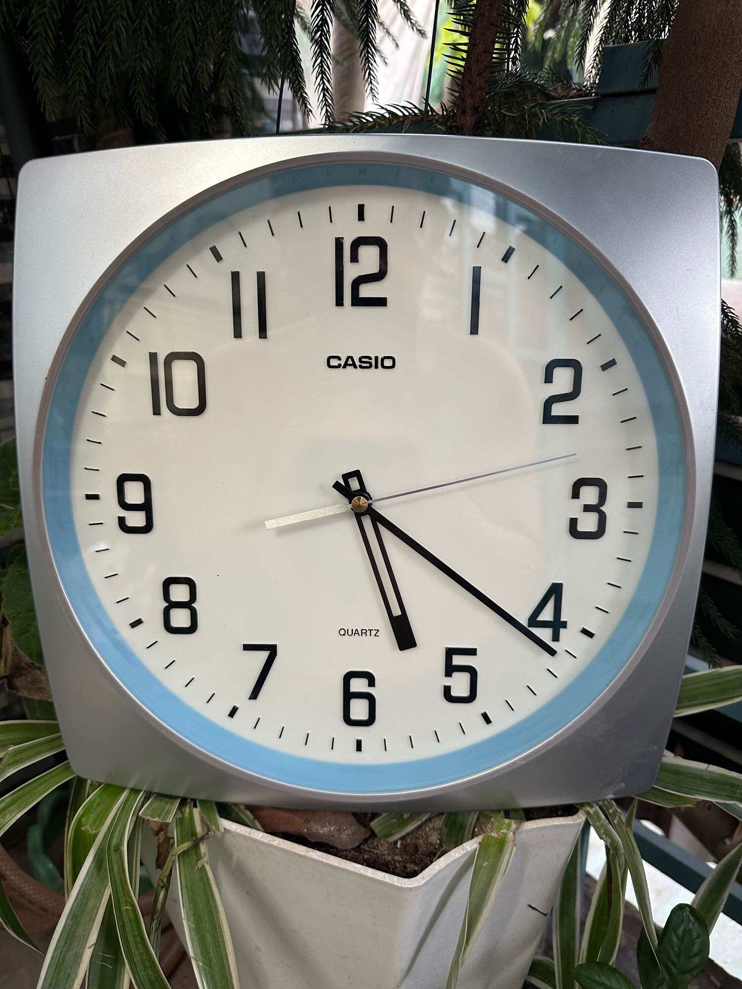 Đồng hồ treo tường casio nội địa nhật