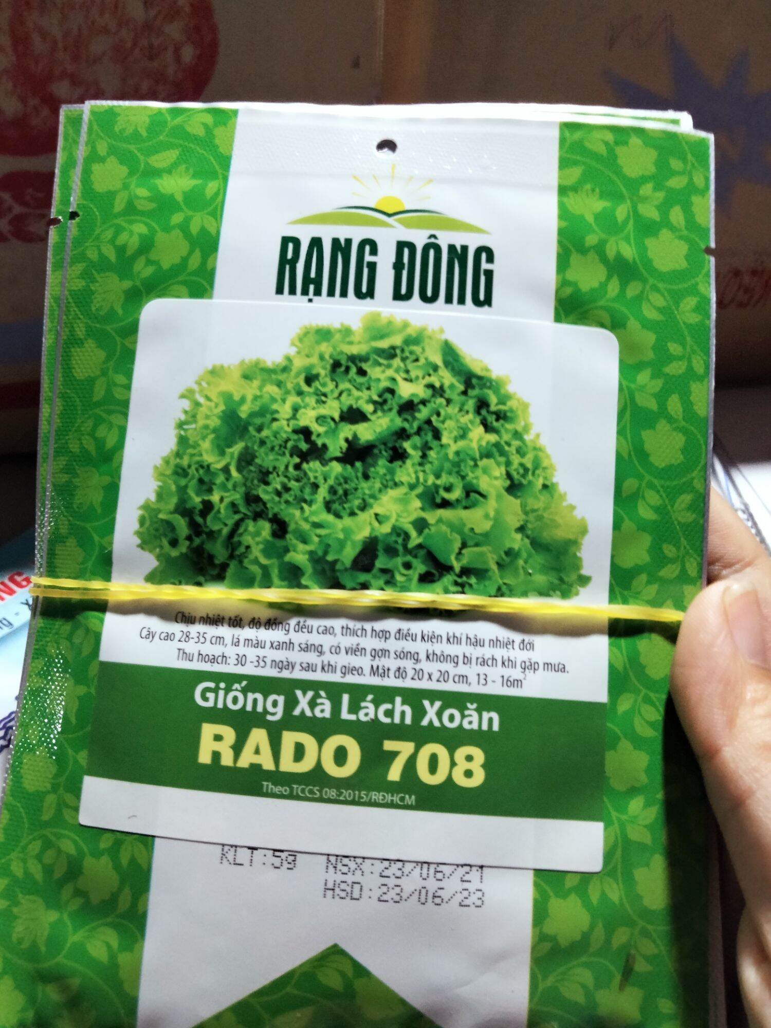 Hạt giống xà lách xoăn xanh