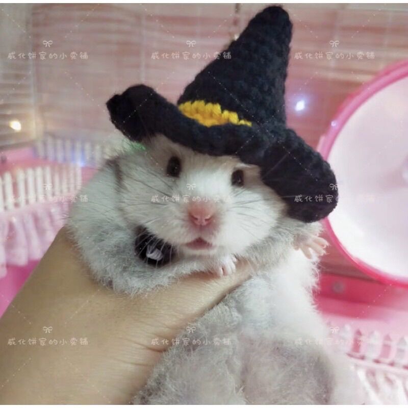 Nón mũ hamster phù thủy