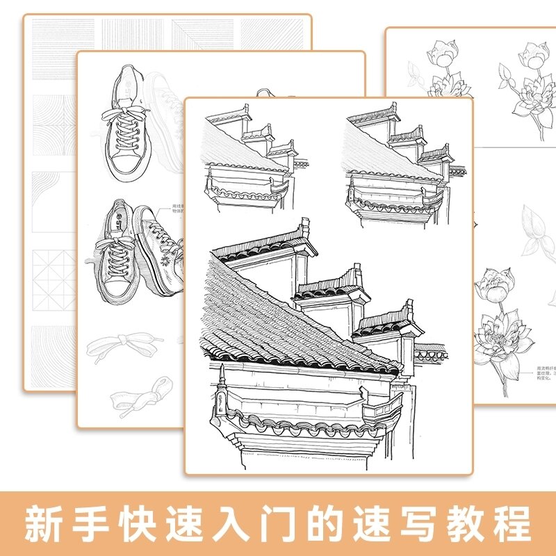 Bản Vẽ Phác thảo Basic sketch