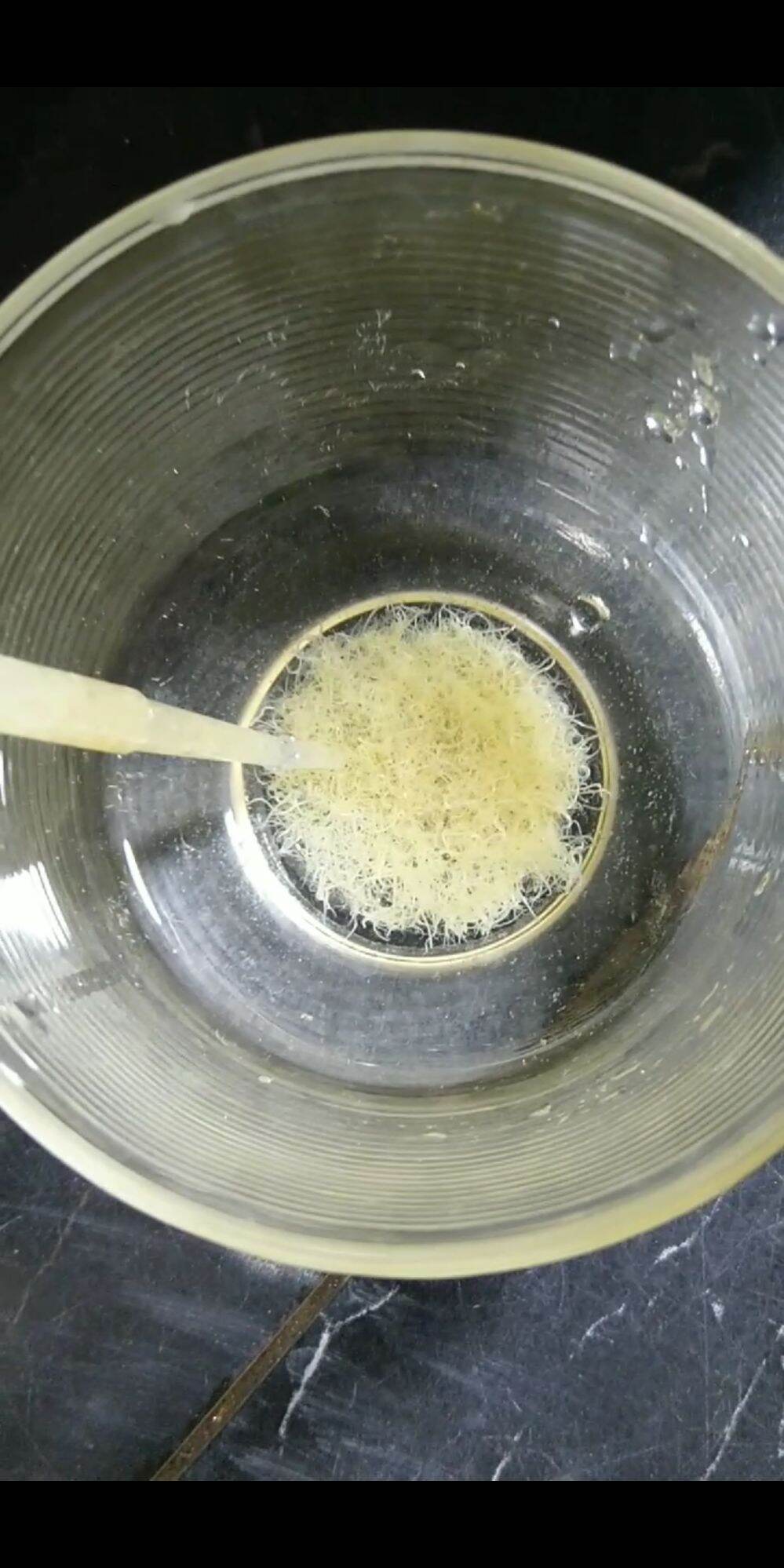 Ống hút artemia, bobo, trùn trắng.
