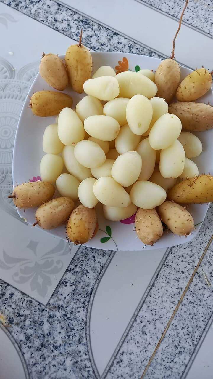 2kg củ lùng ngon, còn sống khách về tự luộc