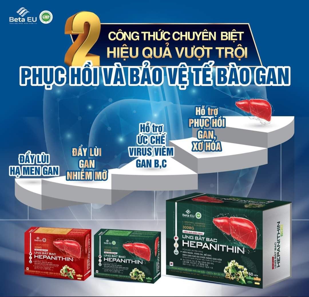Phục hồi & Bảo vệ Gan HEPANITHIN  (30 viên sáng & 30 viên tối)