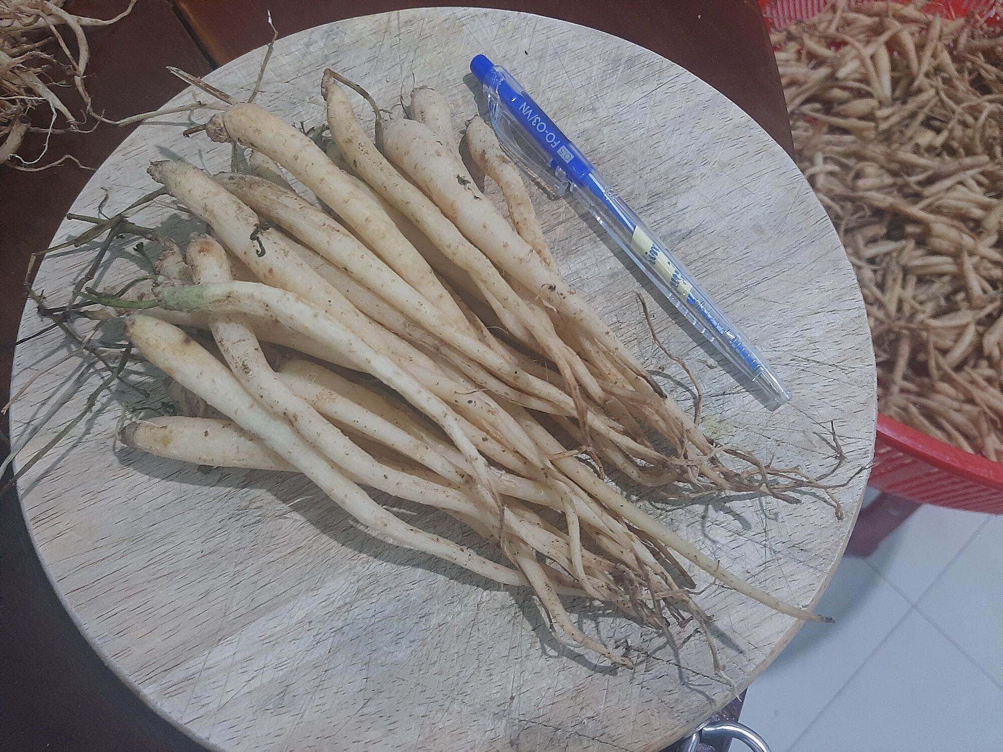 Sâm dây Ngọc Linh Kon Tum