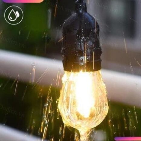 Dây đui đèn trang trí 5 mét 10 đui