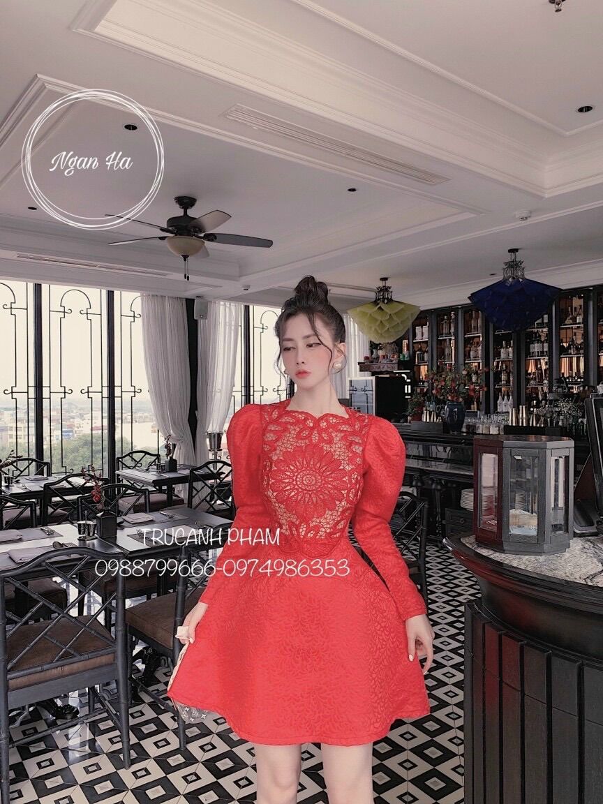 Đầm Xoè phối Ren Cao Cấp Dự Tiệc cho Nữ
